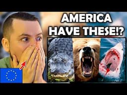 Shocked European Reacts to Most DANGEROUS ANIMALS In America