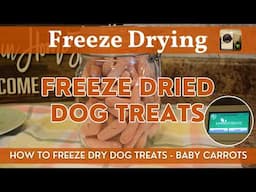 Freeze Dried Dog Treats (Baby Carrots) | Harvest Right Freeze-Dried Vegetables | Step-By-Step Video!