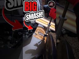 A HUGE BIRD Destroyed her CAR!
