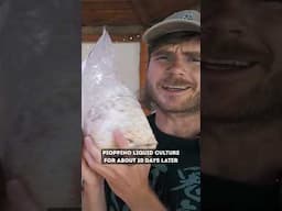 How to Grow Mushrooms Easily with the North Spore Grain Bag