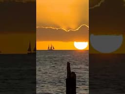 Key West Florida vibes! Watch the entire episode here.