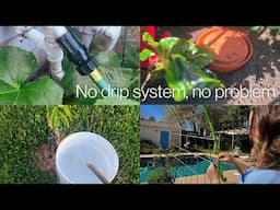 4 Hacks for Watering Your Garden The Easy Way | Cheap and Easy Watering Solutions