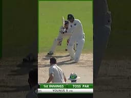PCB Archive - Mohammad Hafeez's Historic 1️⃣9️⃣7️⃣ Runs | PAK vs NZ 3rd Test, 2014 #Shorts M2C2A