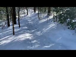 A hike through the snowy woods