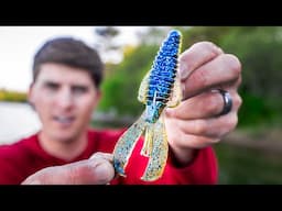 Learn To Fish CREATURE BAITS In 2025! (Bass Fishing Masterclass)