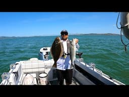 Solo Fishing SF Bay For Halibut & Striper Away From The Fleet