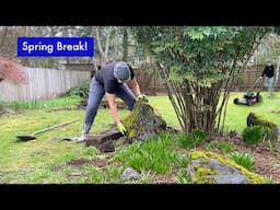 Spring break: Landscaping, garden, deck demo, and turkeys! Part 7 of our DIY MCM home renovation.