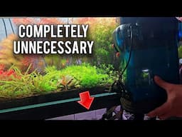 Why You Don't Need a Big Aquarium Canister Filter