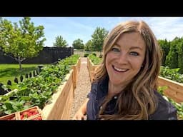 Planting Annuals, Dahlias & Grass Seed + Strawberry Raised Bed Update! 🌸🌾🍓 // Garden Answer