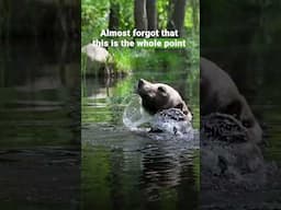 💦🐻 Almost forgot this is the whole point | FOUR PAWS