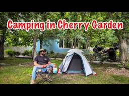 Camping in a Cherry 🍒 Garden in Minapin Nagar Hunza | Solo Bike Travel Vlog Ammar Biker