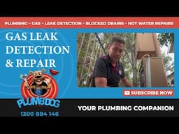 Gas Leak Detection & Repair | Darius from Plumbdog Plumbing Saves the Day! 🐶💨