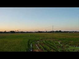 কিসের আবার ক্যারিয়ার আমি ক্যাসিনো খেলে টাকা ইনকাম করবো আর বড় একটা মাছ নিয়ে আসবো, ২০২৫।