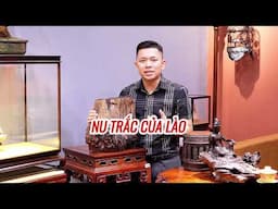 Các Loại Gỗ Nu Trắc Phổ Biến Trên Thị Trường Hiện Nay