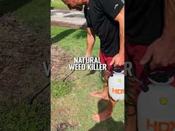 Natural homemade weed killer