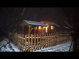 I Got Caught in a Snowstorm with My Dog in a Wooden House!