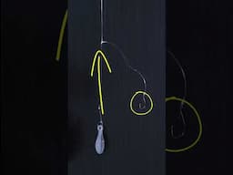 Best Live Bait Rig To Feel Bites