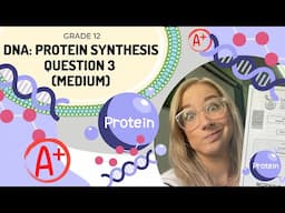 DNA EXAM question: Protein synthesis Q3 (MEDIUM)