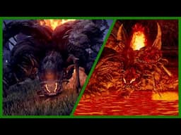 Soulsborne Callbacks in Nightreign Network Test