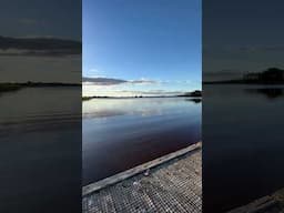 Lake Ngaroto New Zealand ❤️ #nz #newzealandlife
