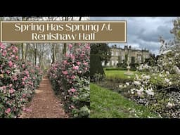 SPRING IN THE ENGLISH COUNTRYSIDE - A Tour Of Renishaw Hall Gardens in April