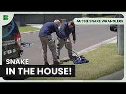 Snake Moves Into a Family Home | Aussie Snake Wranglers