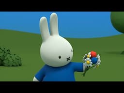 Miffy picks out a bouquet of flowers | Miffy | Cartoons for kids