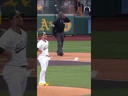 Luis Robert Jr. got all of that one! #homerun #mlb