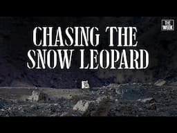 Chasing the elusive SNOW LEOPARD in Ladakh, India | Wildlife Documentary Film | THE WEEK Exclusive