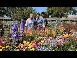 Plant Shopping with Friends at Curious Flora Nursery! 🌻🌸🌿