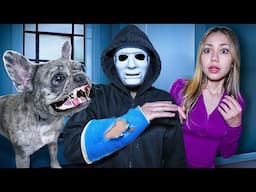 My Dog Saved My Life From The Stalker!