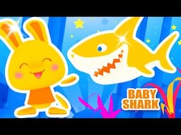 Dance Baby Shark with your friends the Titounis!