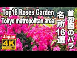 Roses Garden 首都圏（南関東）バラの名所16 famous rose spots in the Tokyo metropolitan area 関東 東京 神奈川 埼玉 千葉 薔薇