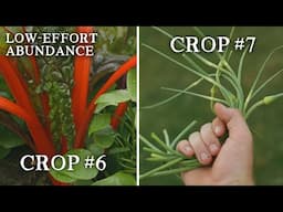9 Low-Effort Crops for BIG Harvests | Grow Your Own Food at Home