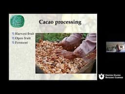 Terroir of Chocolate–Cacao Flavor from Around the World