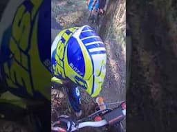 Ale fail trial opppsss