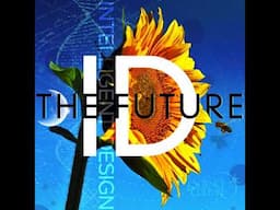 Plato's Revenge: An Interview with David Klinghoffer