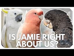 Have I Been WRONG About Cockatoos?