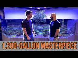 Inside the Crown Jewel of World Wide Corals!