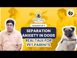 Separation Anxiety in Dogs: Signs, Causes & How to Help Your Dog Cope
