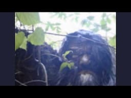 A Bigfoot Sighting Documented In The Library of Congress