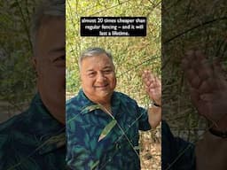 Promote Bamboo Fencing 🌱