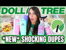 20 Things You Should Be Buying At Dollar Tree In March 2025