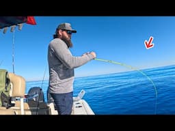 Fishing Deep Into The Gulf And Loaded Up On The BEST Tasting Fish!