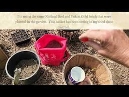 Growing Potatoes in Unusual Containers