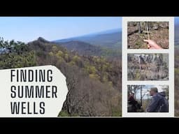 Summer Wells Search: Climbing TOWERING Chimney Top Mountain Cliffs | DRONE FOOTAGE