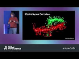 Nir Shavit, Professor of Electrical Engineering Computer Science, MIT: The role of Sparsity in ML