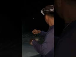 Seru banget mancing malam dipulau ini🤤 #1212 #KOOKIKO