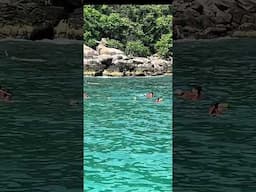 Sacral Snorkeling Reminder from Thailand