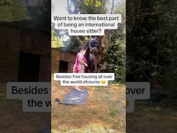 Being an International House Sitter changed my life